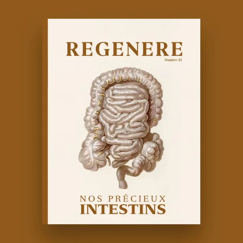 Couverture du magazine Régénère n°11 — Nos précieux intestins